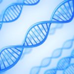 不育症の原因「ネオセルフ抗体」への治療に新たな可能性を発見